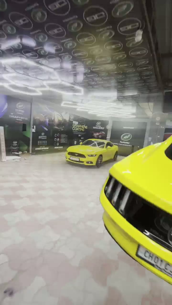 Paint Correction & Polish